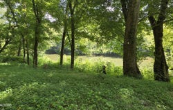 4245 Cave Springs Rd, Tazewell, TN 37879