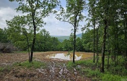 Marshall, AR 72650