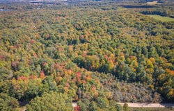 N Lake Road, Lakeview, MI 48850