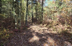 W Coolidge, Bitely, MI 49309
