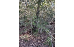 Lot 631 Hilea CT, Bastrop, TX 78692