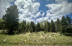 Lot 15 Pleasant Meadow Drive, Angel Fire, NM 87710