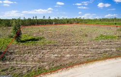 Tract 4 Morris Break, Odum, GA 31555