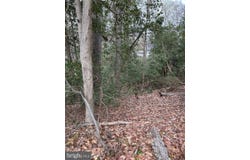 BEECH TRAIL, CROWNSVILLE, MD 21032