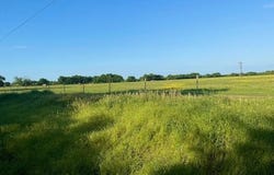 515 N Greenville St., Wolfe City, TX 75496