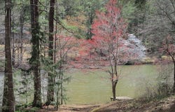 4781 W LAKE, Conyers, GA 30094