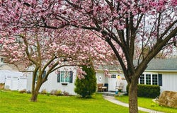 19 Walnut Drive, Shoreham, NY 11786