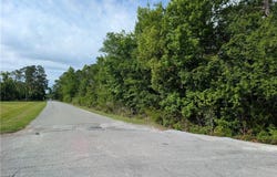 Langdale Drive, Nashville, GA 31639