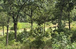 Double Springs Road, McAlester, OK 74501