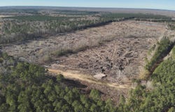 Calhoun 3, Hampton, AR 71744