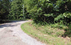 buckboard Road, Ozark Acres, AR 72482
