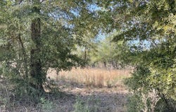 Speights Way, Bascom, FL 32423