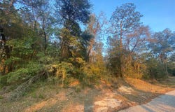 Lot 28 SW 206 CIRCLE, DUNNELLON, FL 34431