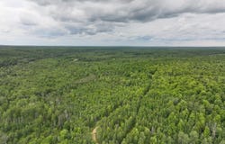 40 Acres Off Bates Amasa, Crystal Falls, MI 49920