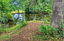 Florence  ST, Bergman, AR 72615