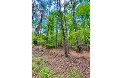 0 Whaley Rd., Double Springs, AL 35553