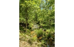 1100 Hattie Drive, Other, MO 65793