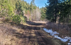 2584 BRIDGEMAN RETTINGER RD, KETTLE FALLS, WA 99141