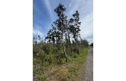 40TH AVE, Kurtistown, HI 96760