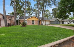 23034 Earlmist Drive, Spring, TX 77373