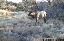 000 TBA, Quemado, NM 87829