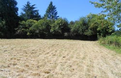 12635 SE KNAPP ST, Portland, OR 97236