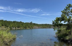 US-11, York, AL 36925
