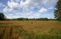 6689-7 NY-30, Indian Lake, NY 12842
