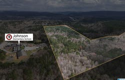 8260 KERMIT JOHNSON ROAD lot: 1, PINSON, AL 35126