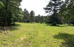 Pr Off County Road 164, Fremont, MO 63941