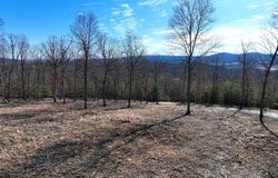 LOT 5 JASON LANE, RIDGELEY, WV 26753