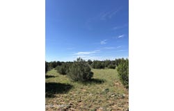 Mills Ln lot: 1933, Concho, AZ 85924