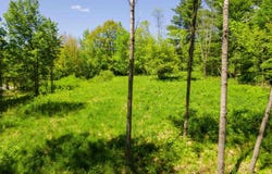 381 E Green Mountain Road, Claremont, NH 03743