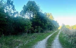 0 Bellingrath Road, Theodore, AL 36582