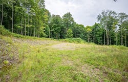 Beaver Creek Hollow Road lot: 8, Andes, NY 13752