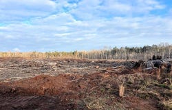 Chipley Road, Greenwood, SC 29646