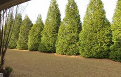 238 Valley Hill Road, Riverdale, GA 30274
