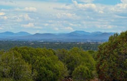 8063 Mustang Ln 10 Acres, Show Low, AZ 85901