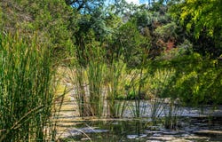 Tbd FM 2342, Burnet, TX 78611