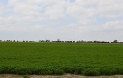Road 24, La Junta, CO 81050