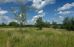 796 165th Avenue, Somerset, WI 54017