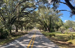 Old Hwy 49, Saucier, MS 39574