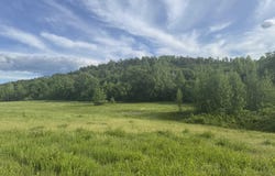 Tract 3 Jaymeson RD, Oden, AR 71961