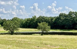 632 Andrew Circle, Roundhill, KY 42275