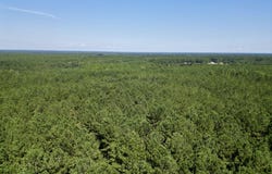 N Hwy 43, Poplarville, MS 39470