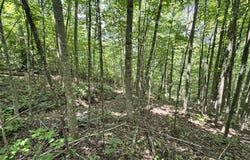Key Ridge Lane, Crawford, TN 38554