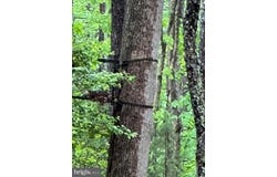 Lot 36 KNIGHTS LANDING DR, HEATHSVILLE, VA 22473