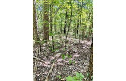 16 Pamplona Lane, Hot Springs Village, AR 71909