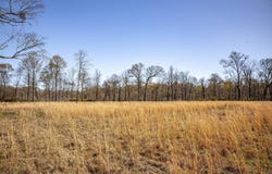 0 Dogwood Road, Vicksburg, MS 39180