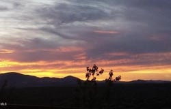 8470-256 W Webster Road, Wilhoit, AZ 86332